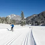 Guest house Haus Wildbach 3*