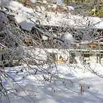 Haus Wildbach