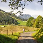 Haus Wildbach Guest house 3*