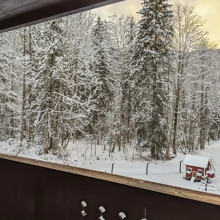 Penzion Haus Wildbach 3*