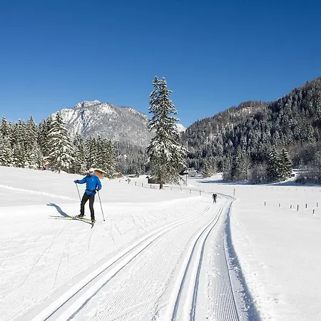 Gasthof Haus Wildbach 3*