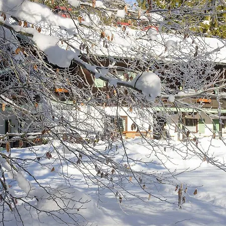 Haus Wildbach