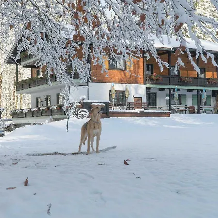 Gasthof Haus Wildbach Reit im Winkl