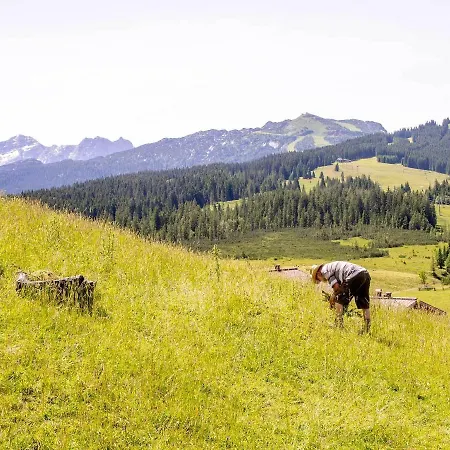 Haus Wildbach 3* Reit im Winkl