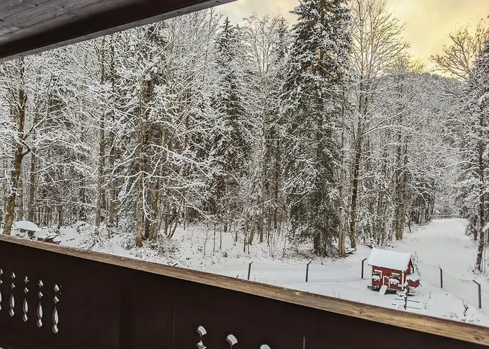 Penzion Haus Wildbach 3*