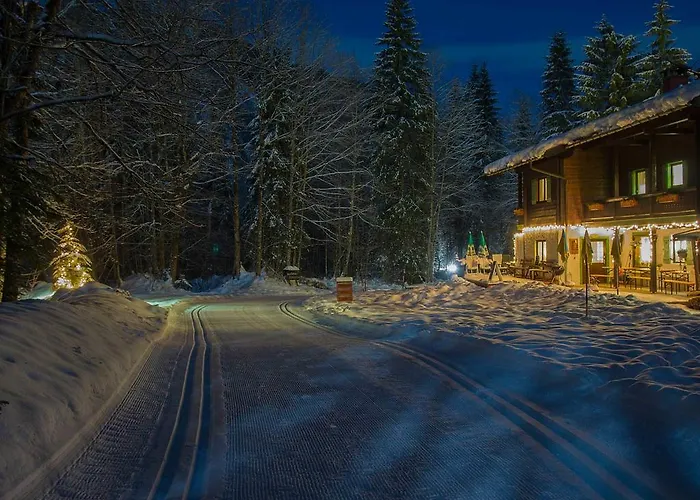 Haus Wildbach Penzion
