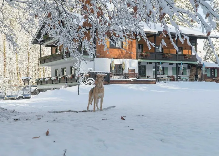 Penzion Haus Wildbach Reit im Winkl