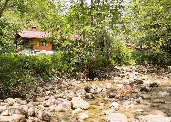 Haus Wildbach 3*