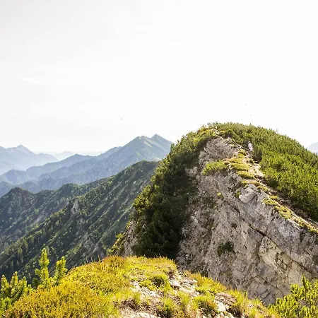 Haus Wildbach בית הארחה